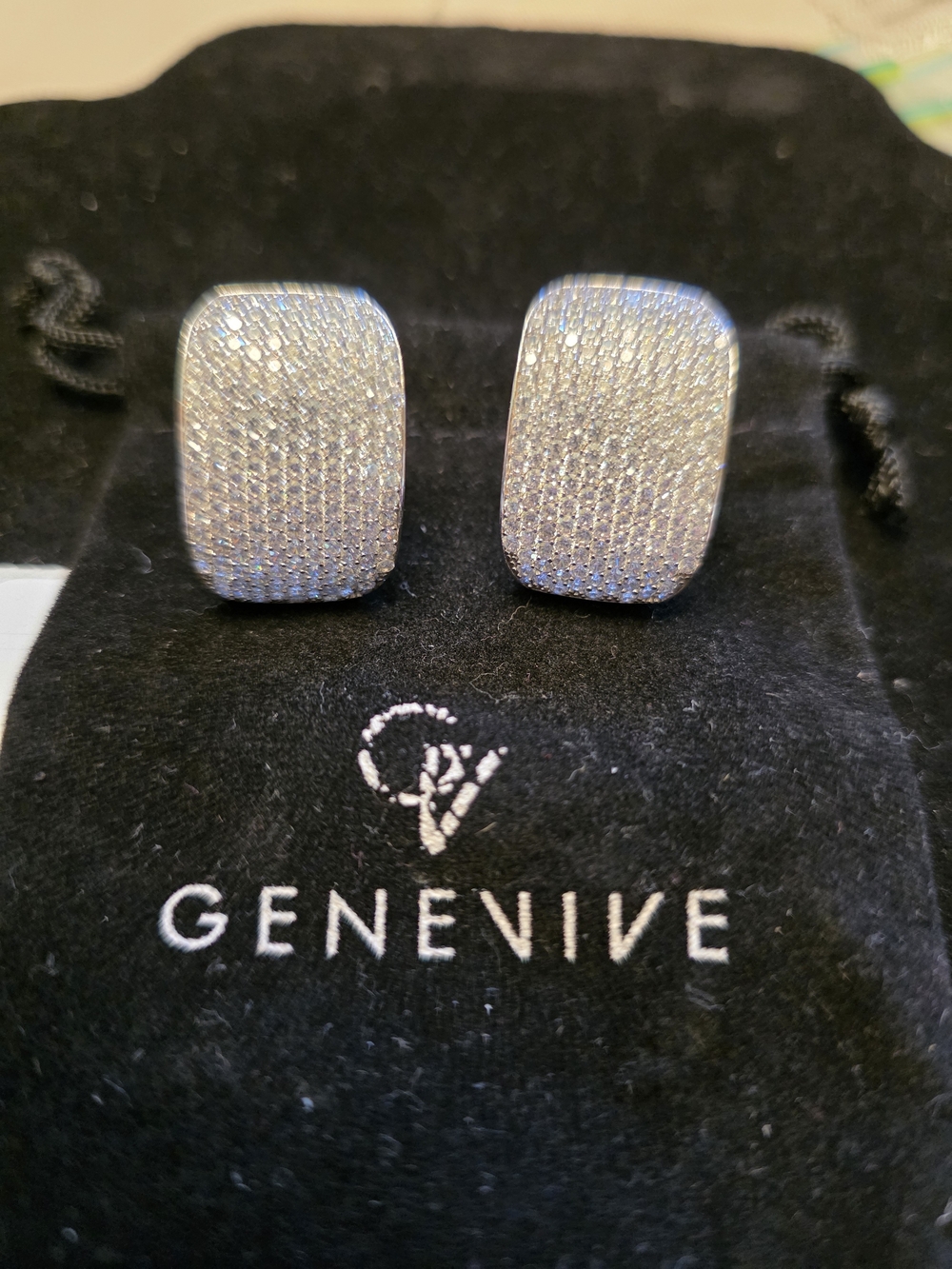 #405 Pavé Rectangular Pierced Earrings in Silver Sparkle